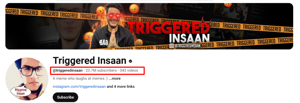 Indian youtuber Triggerd Insaan